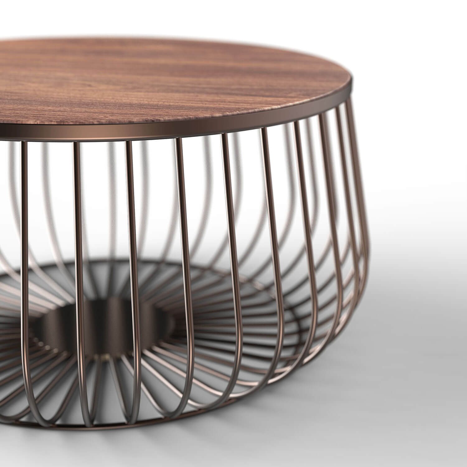 Nature coffee table focus2